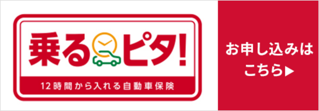 乗るピタ